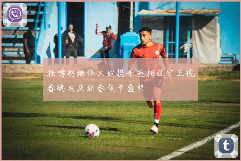 杨鸣赵继伟夫妇携手亮相辽宁卫视春晚共庆新春佳节盛典