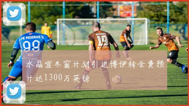 水晶宫冬窗计划引进博伊转会费预计达1300万英镑