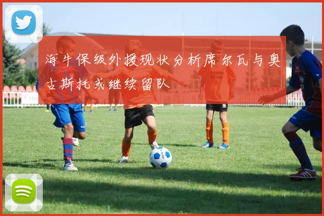 海牛保级外援现状分析席尔瓦与奥古斯托或继续留队